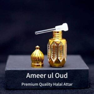 Ameer Al Oud